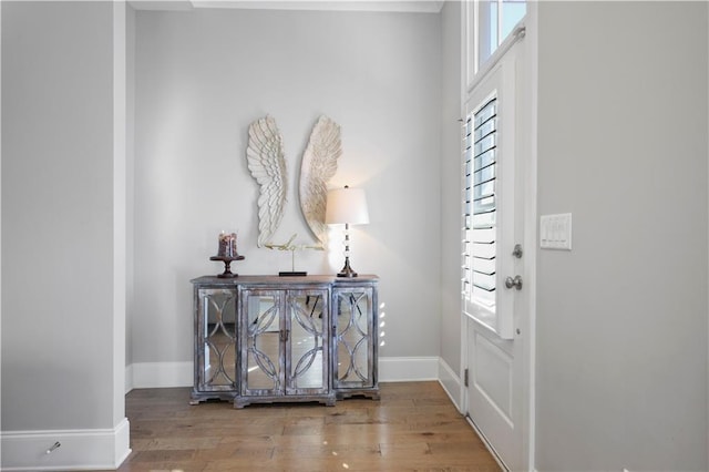 foyer entrance with plenty of natural light and hardwood / wood-style flooring