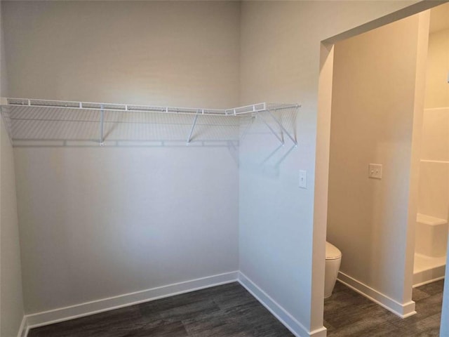 246 Crabapple Rd, Mcdonough, GA 30253 - spacious closet with dark wood finished floors