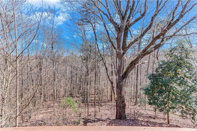 view of local wilderness featuring a wooded view