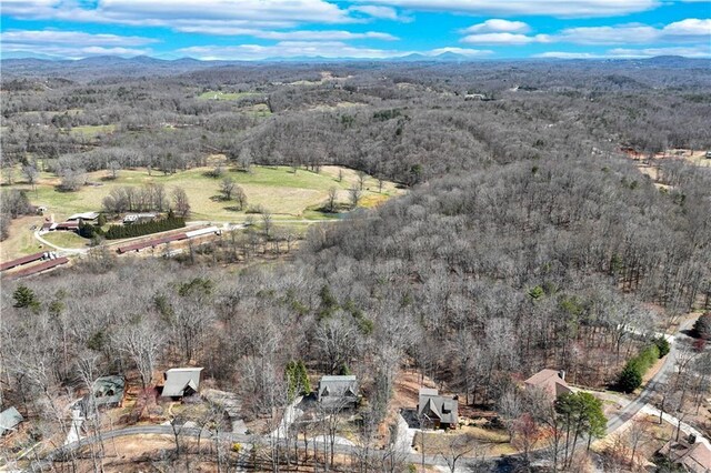 birds eye view of property with a mountain view and a forest view