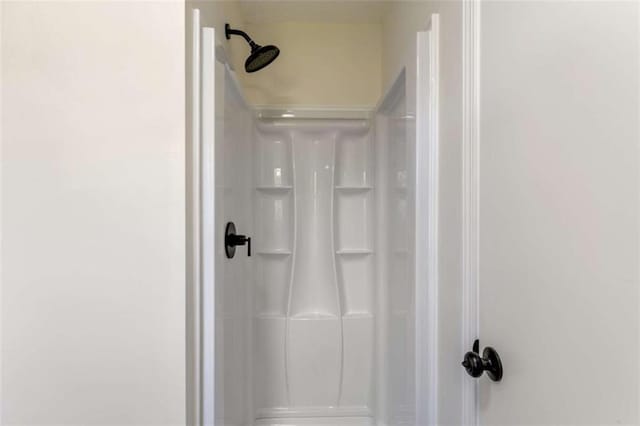interior details featuring a walk in shower