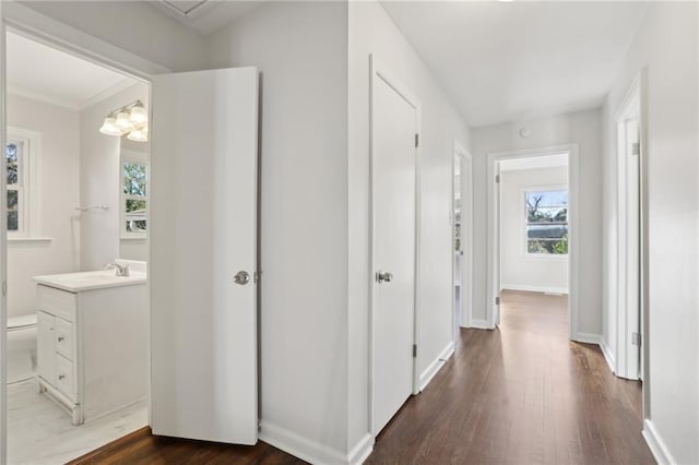 corridor with a chandelier, dark hardwood / wood-style floors, and sink