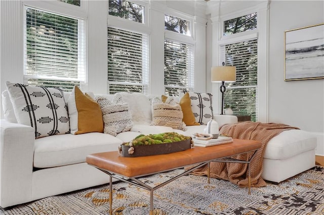 living room with a healthy amount of sunlight