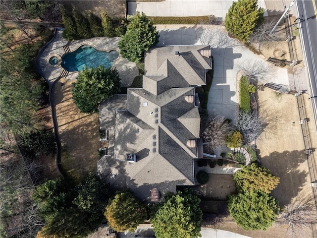 bird's eye view