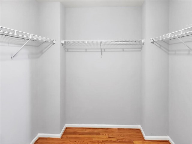 1649 Southgate Mill Dr, Duluth, GA 30096 - walk in closet with wood finished floors