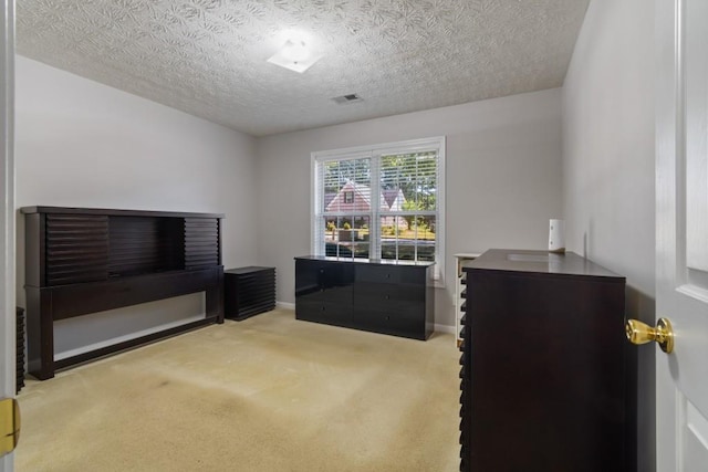 interior space with carpet and a textured ceiling