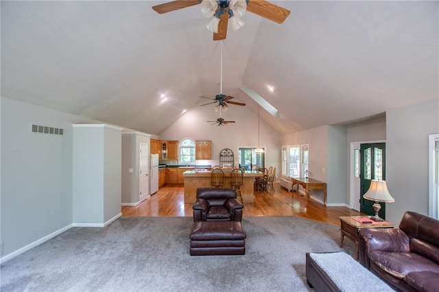 1775 Whooping Creek Rd, Carrollton, GA 30116 - living area with ceiling fan, lofted ceiling, light wood-style floors, light colored carpet, and a skylight