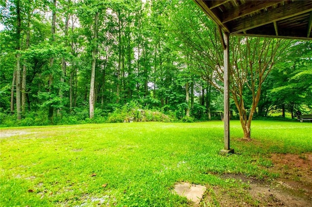 1775 Whooping Creek Rd, Carrollton, GA 30116 - view of green lawn