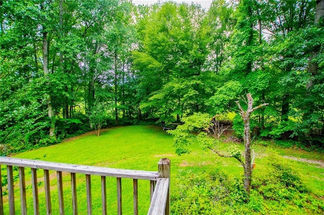1775 Whooping Creek Rd, Carrollton, GA 30116 - view of green lawn
