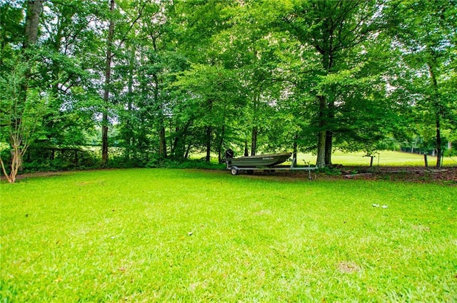 1775 Whooping Creek Rd, Carrollton, GA 30116 - view of grassy yard