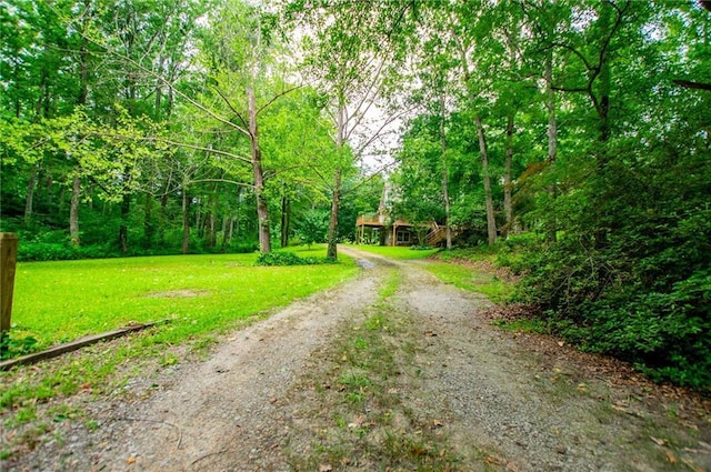 1775 Whooping Creek Rd, Carrollton, GA 30116 - view of dirt / gravel driveway featuring a view of trees
