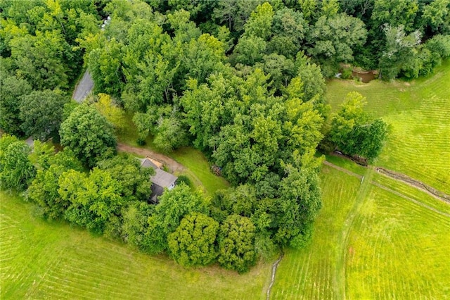 1775 Whooping Creek Rd, Carrollton, GA 30116 - aerial view of sparsely populated area