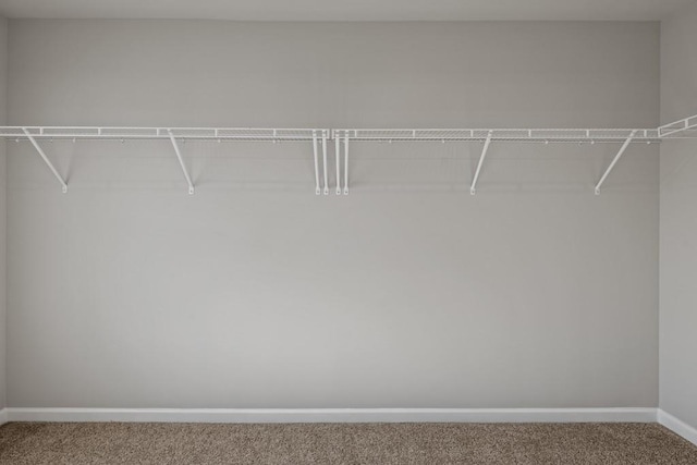 spacious closet with carpet floors