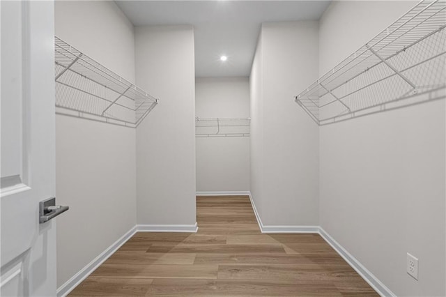 walk in closet featuring wood finished floors