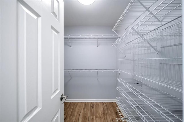 spacious closet with hardwood / wood-style flooring