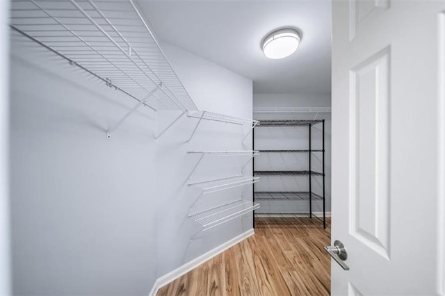 walk in closet featuring light hardwood / wood-style flooring