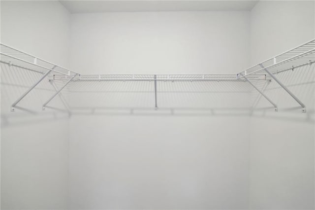 348 White Tail Rd, Stockbridge, GA 30253 - view of walk in closet
