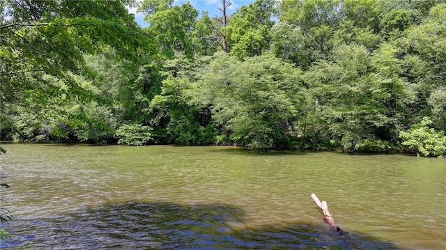 1595 Northcliff Trce, Roswell, GA 30076 - dock featuring a water view