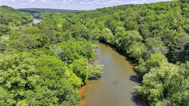 1595 Northcliff Trce, Roswell, GA 30076 - drone / aerial view of a forest and a nearby body of water