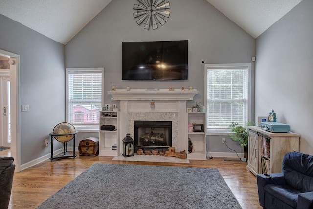 20 Friendship Rd, Euharlee, GA 30145 - living area featuring wood finished floors, a fireplace, and high vaulted ceiling