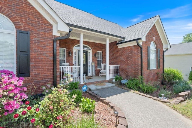 20 Friendship Rd, Euharlee, GA 30145 - entrance to property featuring a porch, brick siding, and a shingled roof