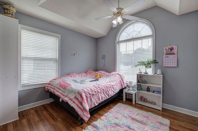 20 Friendship Rd, Euharlee, GA 30145 - bedroom featuring vaulted ceiling, wood finished floors, and a ceiling fan