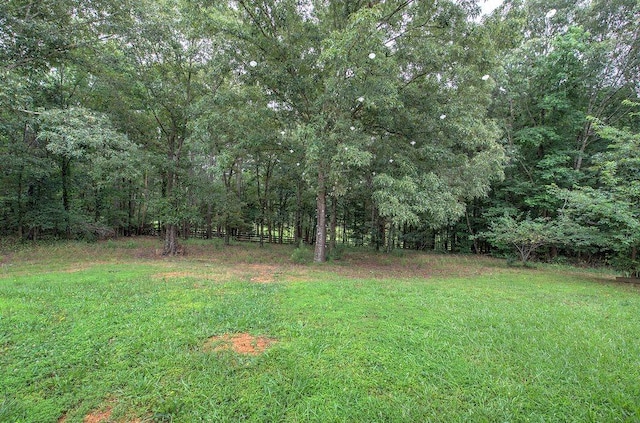 20 Friendship Rd, Euharlee, GA 30145 - view of yard featuring a wooded view