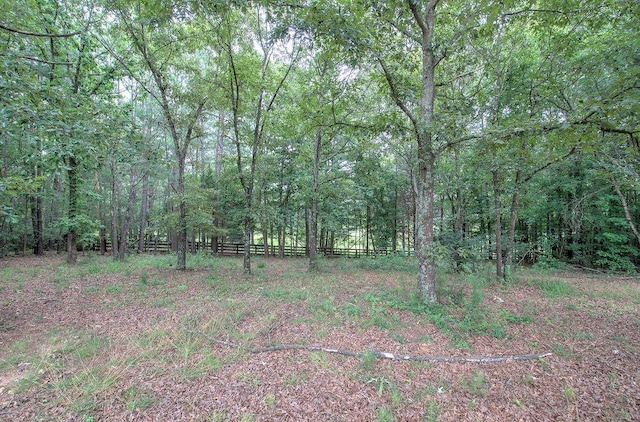 20 Friendship Rd, Euharlee, GA 30145 - view of woods