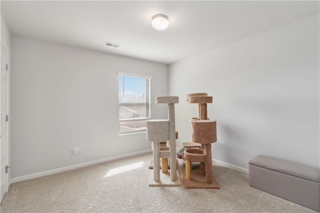 sitting room with carpet flooring