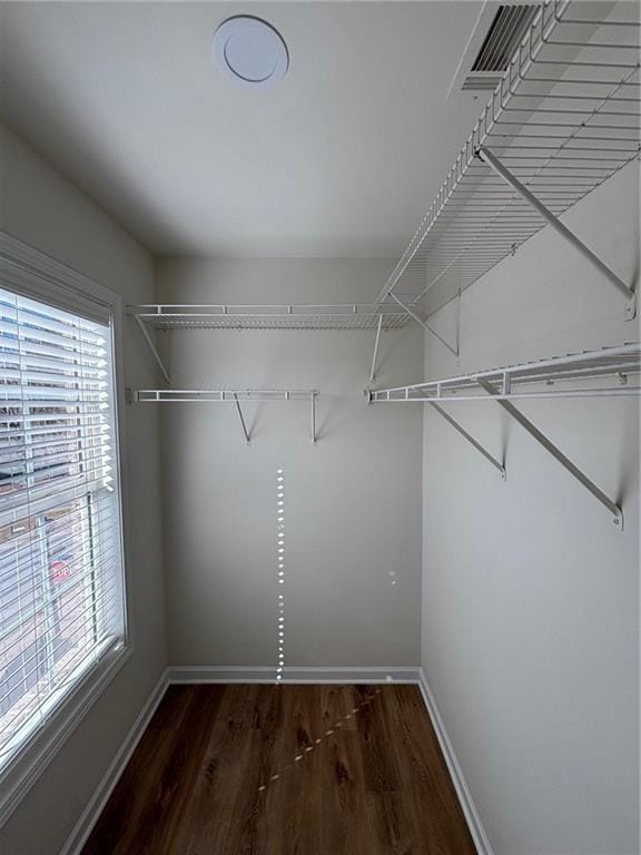 walk in closet featuring dark hardwood / wood-style floors