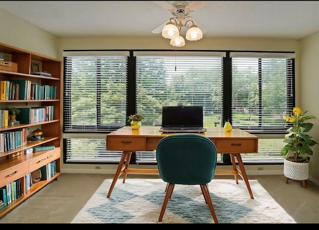 1800 Clairmont Lk Unit 213, Decatur, GA 30033 - office space with carpet flooring and ceiling fan