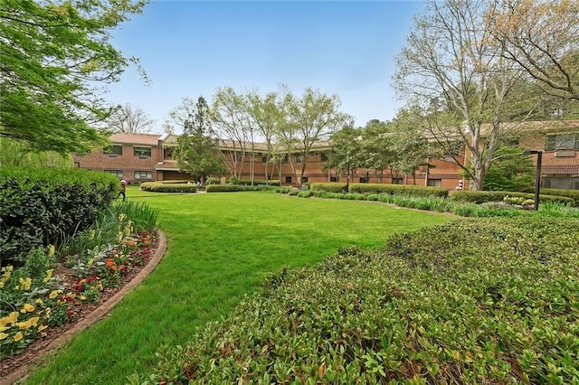 1800 Clairmont Lk Unit 213, Decatur, GA 30033 - view of grassy yard