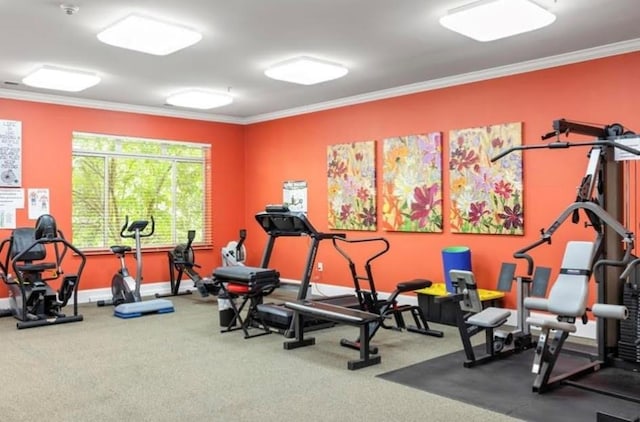 1800 Clairmont Lk Unit 213, Decatur, GA 30033 - gym featuring ornamental molding and carpet flooring