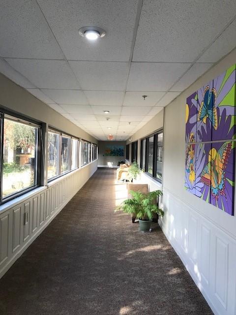 1800 Clairmont Lk Unit 213, Decatur, GA 30033 - hallway featuring carpet floors and a drop ceiling