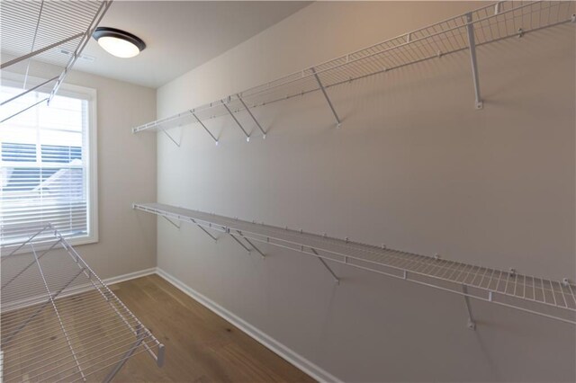 spacious closet featuring hardwood / wood-style flooring