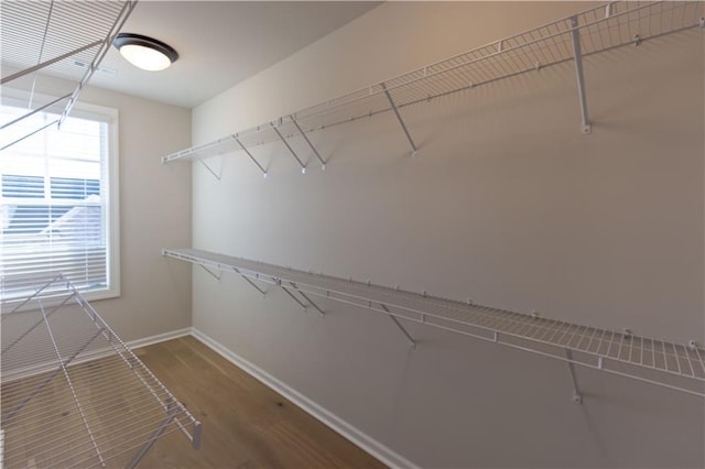 spacious closet with hardwood / wood-style floors