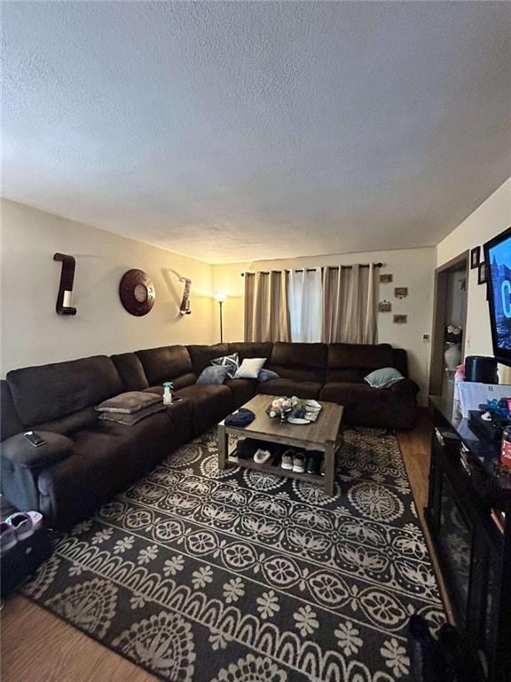 living room with a textured ceiling and hardwood / wood-style flooring