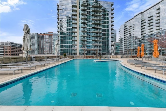 view of pool featuring a patio area