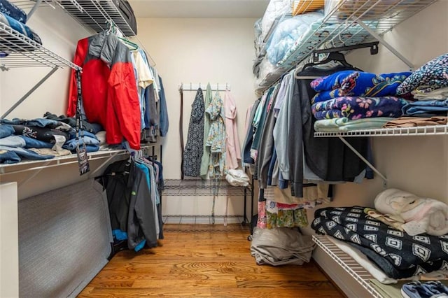 walk in closet featuring wood finished floors