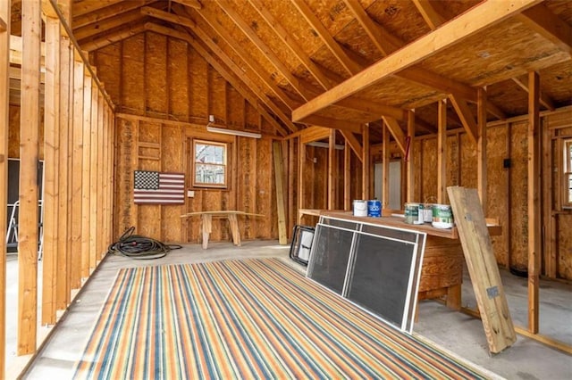 miscellaneous room featuring vaulted ceiling