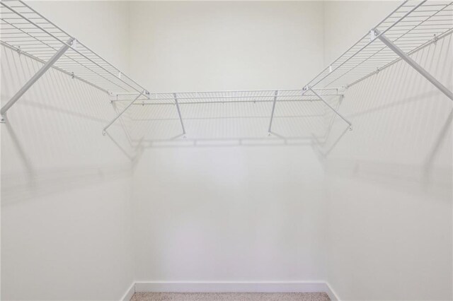 unfurnished bedroom featuring ensuite bath, a walk in closet, a closet, ceiling fan, and light colored carpet