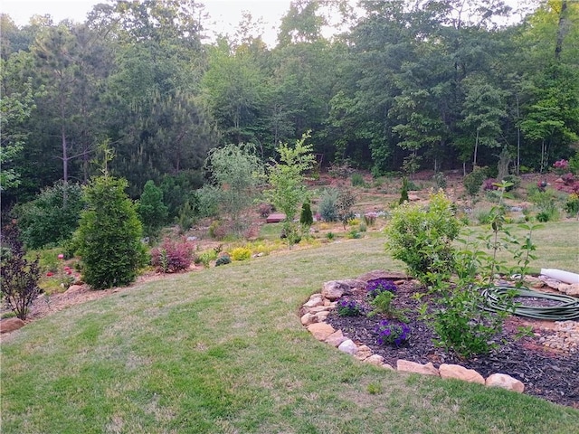 336 White Oak Way, Monroe, GA 30655 - view of green lawn featuring a wooded view