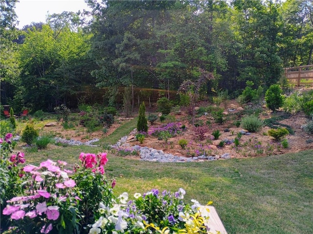 336 White Oak Way, Monroe, GA 30655 - view of yard featuring a wooded view