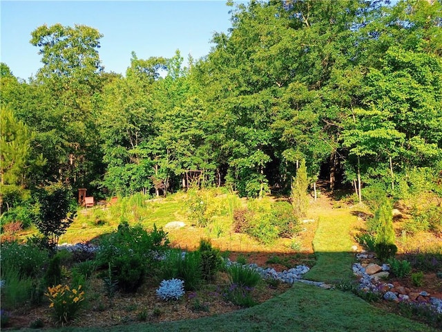 336 White Oak Way, Monroe, GA 30655 - view of yard with a wooded view