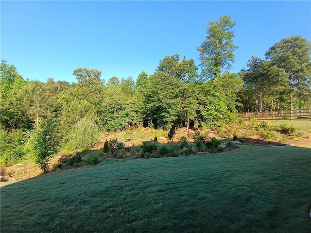 336 White Oak Way, Monroe, GA 30655 - view of green lawn