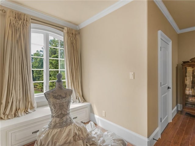 interior space featuring a wealth of natural light, baseboards, wood finished floors, and crown molding