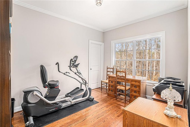 255 Heritage Creek Trl, Ball Ground, GA 30107 - exercise area with ornamental molding and wood finished floors