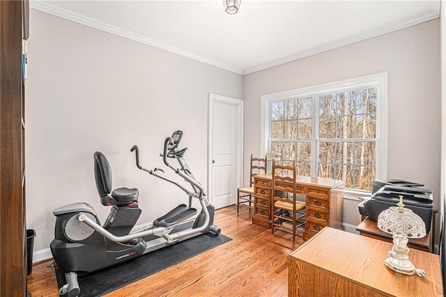 exercise room with wood finished floors, baseboards, and ornamental molding