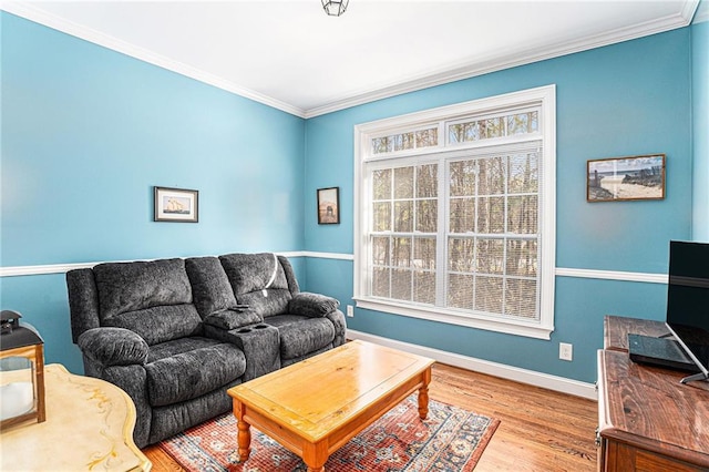 living room featuring baseboards, wood finished floors, and crown molding