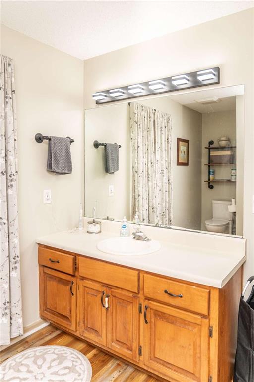 bathroom featuring vanity, toilet, and wood-type flooring